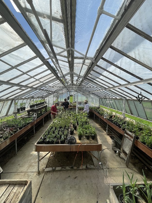 Lord and Burnham Greenhouse interior