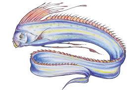 Sea Monster Illustration