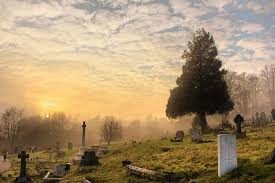sunrise over cemetery and pine tree